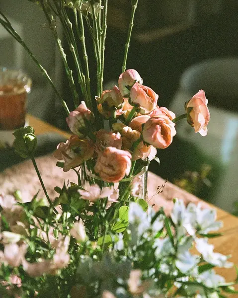 Bahçedeki güzel çiçekler