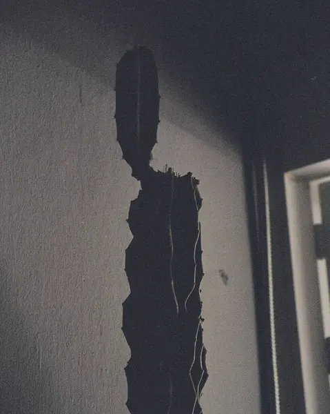 Fırçalı bir adamın siyah beyaz fotoğrafı.