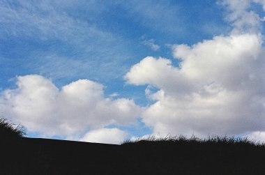 Parktaki genç çift.