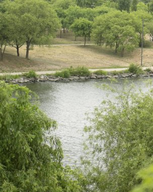 Parkta göleti olan güzel yeşil çimen manzarası.