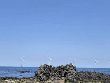 Zaragoza adasında deniz feneri olan bir deniz manzarası.