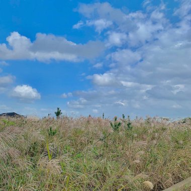 Doğanın güzel manzarası