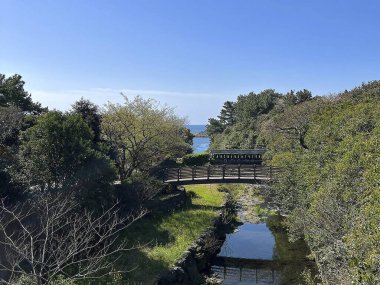 Miguel 'deki San Miguel de Allende Köprüsü' nden manzara