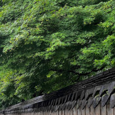 Parkın güzel manzarası