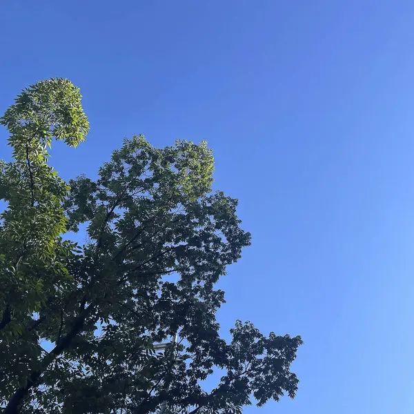 Bulutlu mavi gökyüzü, doğa ortamı