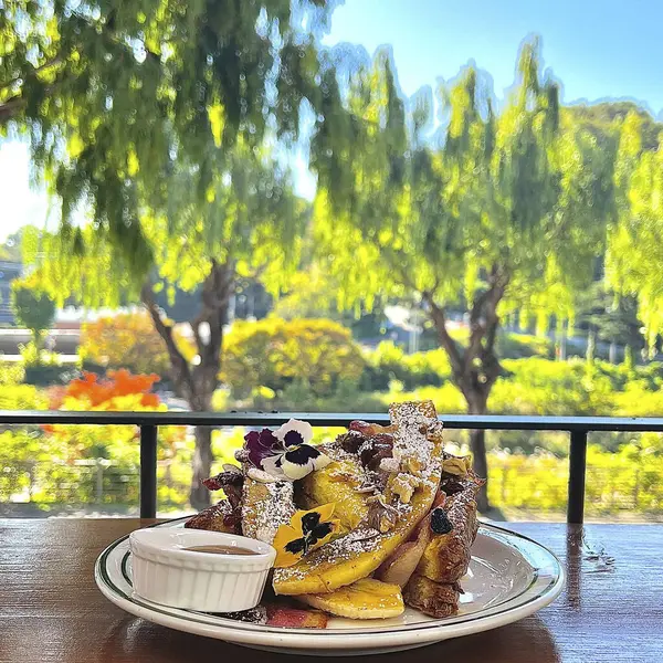 Kızarmış ekmek, kızarmış yumurta, tost ve tost.