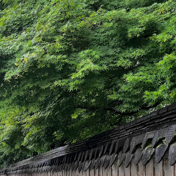 Parkın güzel manzarası