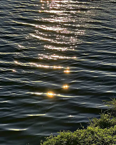 Nehirde gün batımı