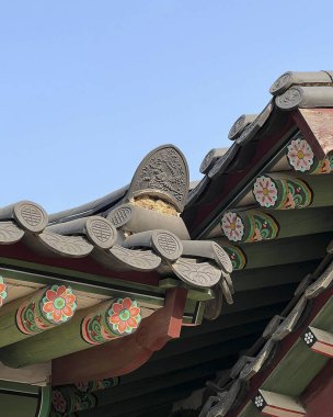 Doğa ve şehir manzarası 