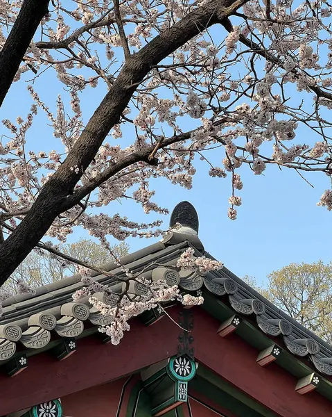 Doğa ve şehir manzarası 