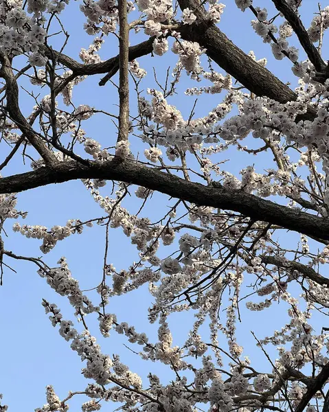 Doğa ve şehir manzarası 