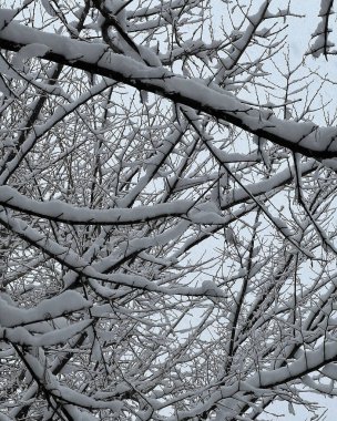 Doğa ve şehir manzarası 
