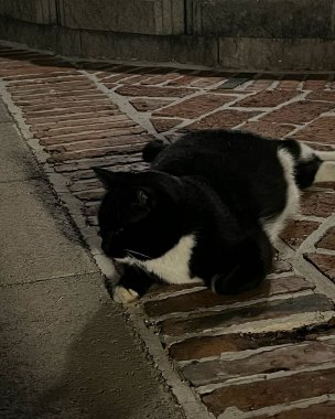 Doğa ve şehir manzarası 