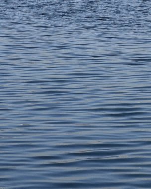 Doğa ve şehir manzarası 