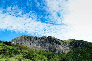 Doğa ve şehir manzarası 