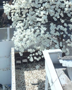 Doğa ve şehir manzarası 