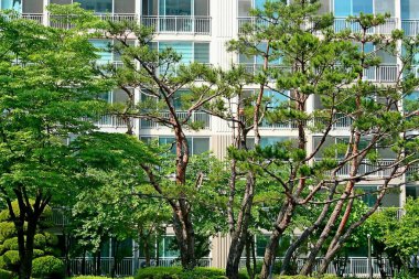 Doğa ve şehir manzarası 