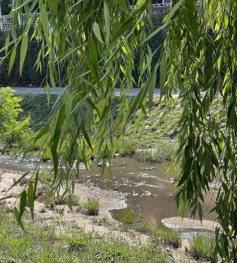 Doğa ve şehir manzarası 