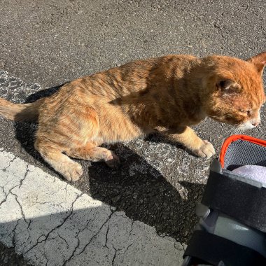 Doğa ve şehir manzarası 