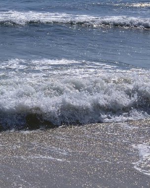 Parkın güzel manzarası