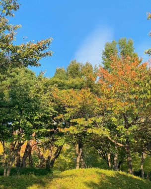 Parkın güzel manzarası