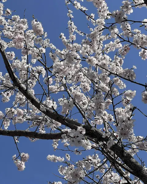 Doğa ve şehir manzarası 