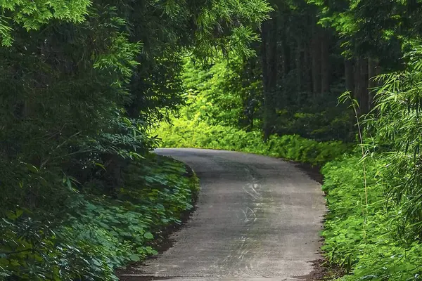 Doğa ve şehir manzarası 