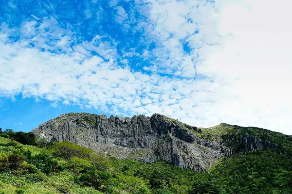 Doğa ve şehir manzarası 