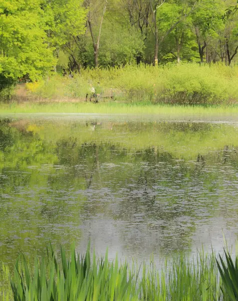 Doğa ve şehir manzarası 