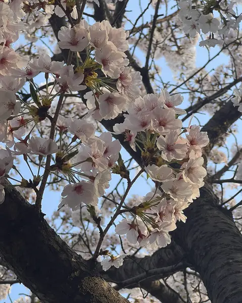 Doğa ve şehir manzarası 