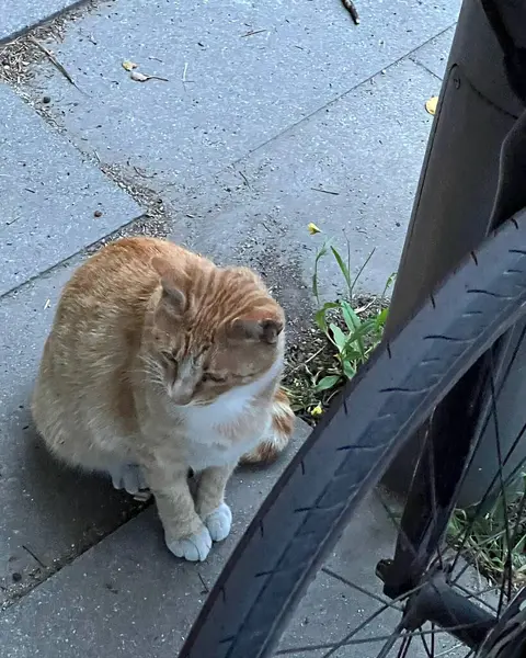 Doğa ve şehir manzarası 