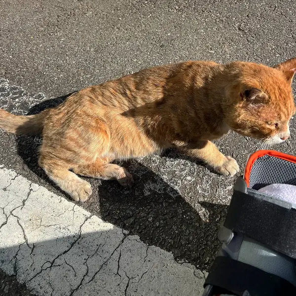 Doğa ve şehir manzarası 