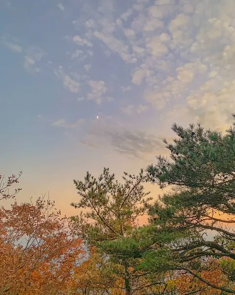 Parkın güzel manzarası