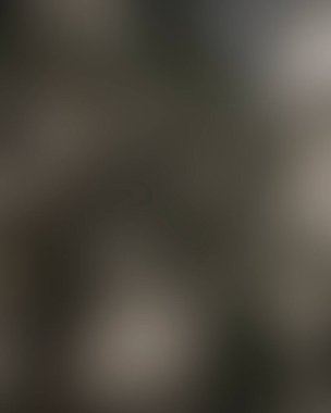 Renklerin soyut bulanık arkaplanı