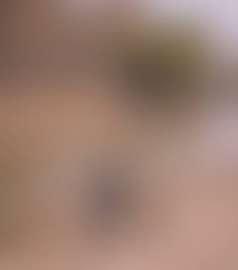 Renklerin soyut bulanık arkaplanı