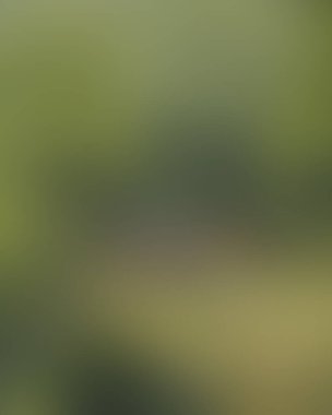 Renklerin soyut bulanık arkaplanı