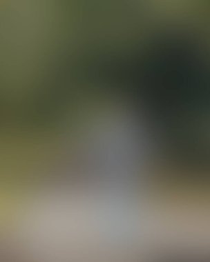 Renklerin soyut bulanık arkaplanı