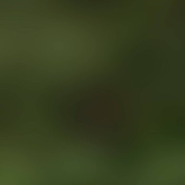 Renklerin soyut bulanık arkaplanı