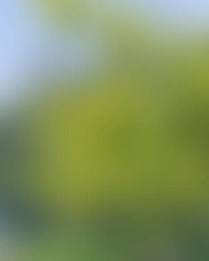 Renklerin soyut bulanık arkaplanı