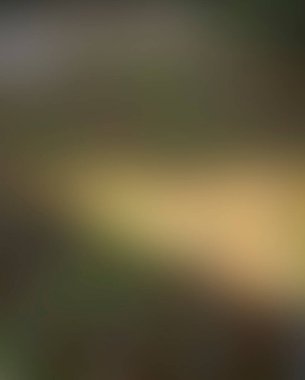 Renklerin soyut bulanık arkaplanı