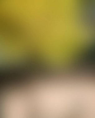 Renklerin soyut bulanık arkaplanı