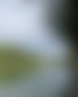 Renklerin soyut bulanık arkaplanı