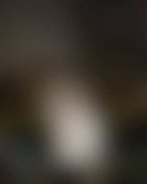 Renklerin soyut bulanık arkaplanı