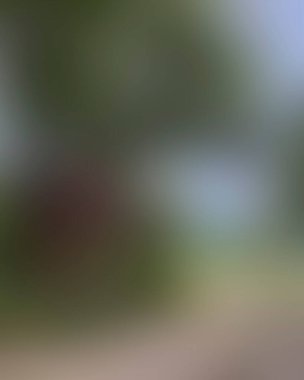 Renklerin soyut bulanık arkaplanı