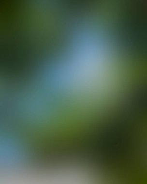 Renklerin soyut bulanık arkaplanı