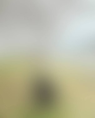 Renklerin soyut bulanık arkaplanı