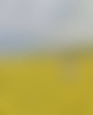 Renklerin soyut bulanık arkaplanı