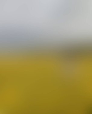 Renklerin soyut bulanık arkaplanı