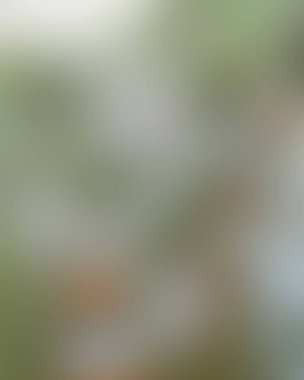 Renklerin soyut bulanık arkaplanı