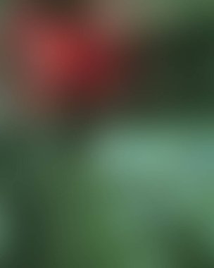 Renklerin soyut bulanık arkaplanı